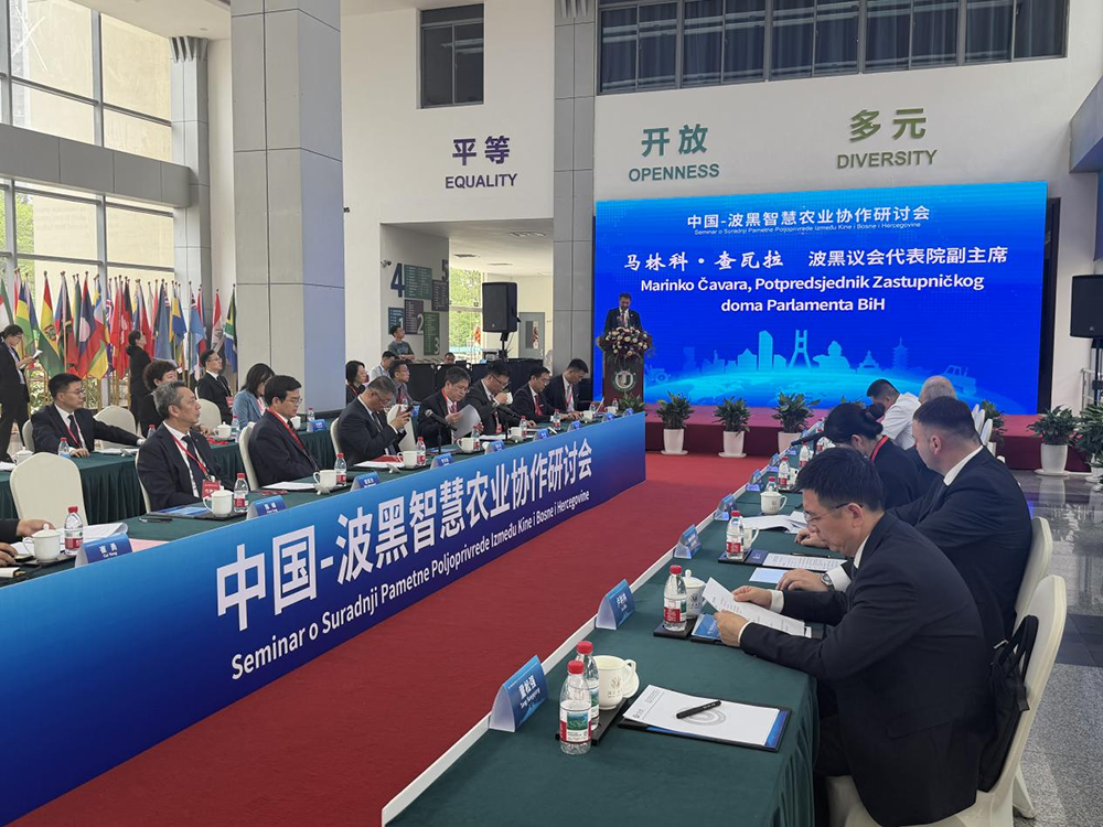 图片1 图片1