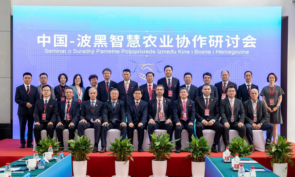 图片4 图片4